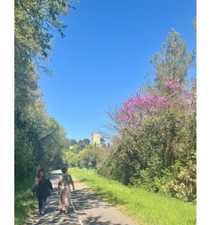 balade à vélo sur la Voie Verte Sommières