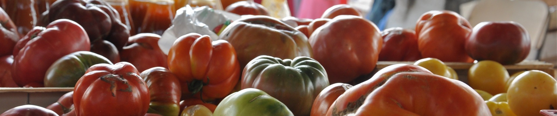 Photo des tomates de terroir