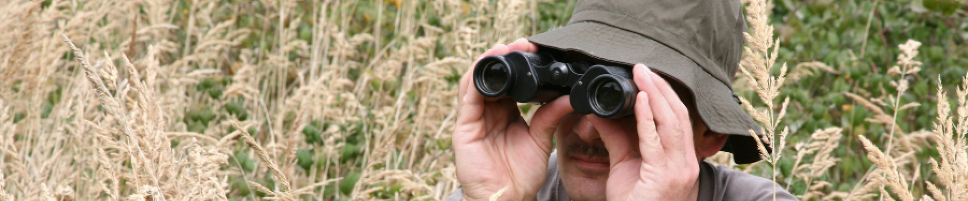 Personne en mode observateur