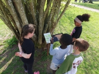 Des enfants qui utilise l'arboretum connecté au Manoir d’Argueil