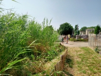 Photo du Cimetière de Loyasse 