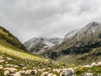 Photo background les Cevennes