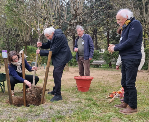 Plantation arbre à Val de l'Hort