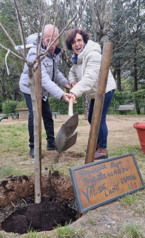 Plantation arbre à Val de l'Hort