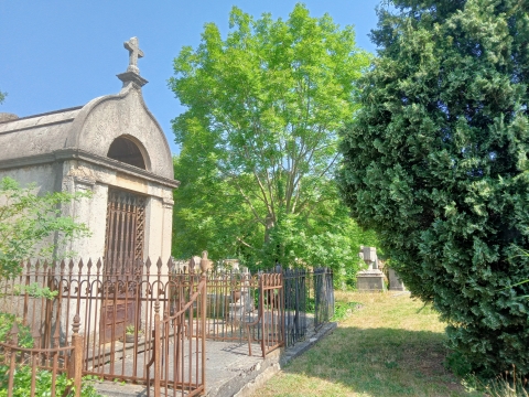 Cimetière Loyasse  