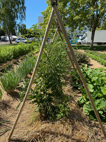 Escale habitat quartiers fertiles