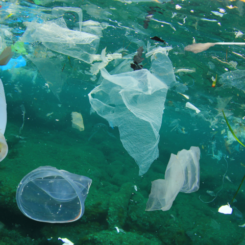 Photo de l'océane polluée