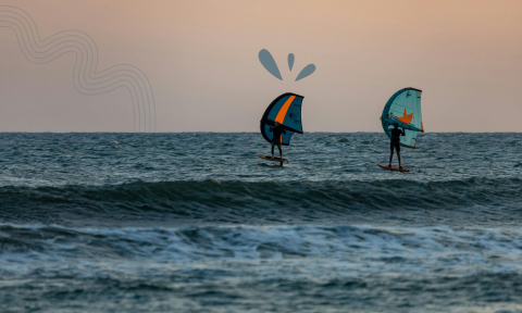 Planche à voile