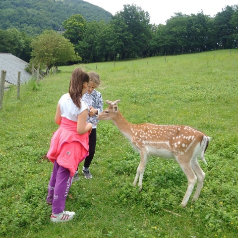 Photo d'enfants avec un animal