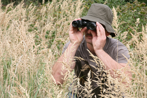 Personne en mode observateur